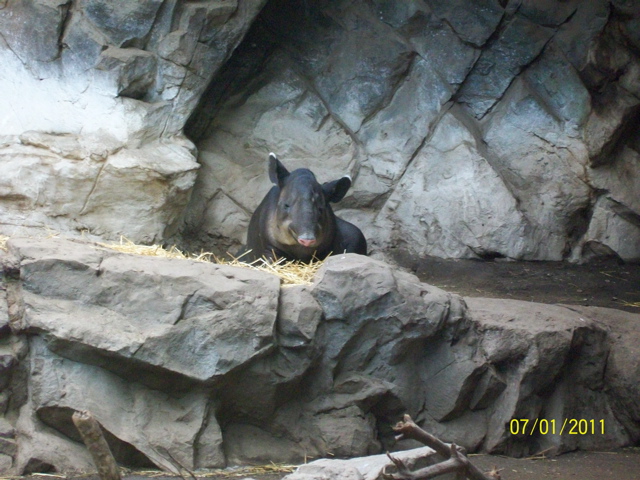 100_2136.JPG