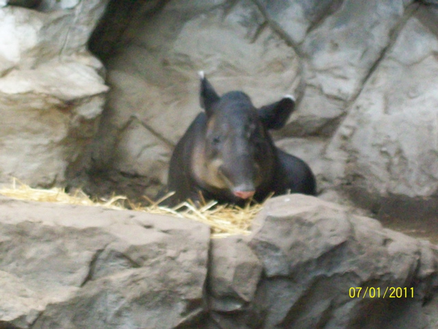 100_2137.JPG