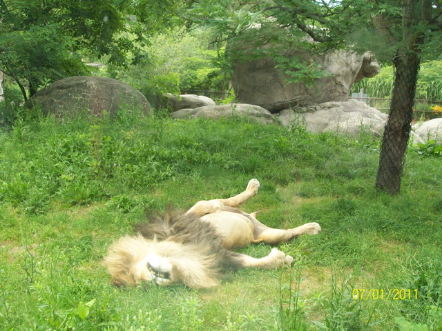 100_2149.JPG