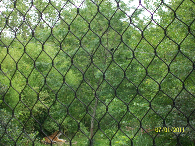 100_2155.JPG
