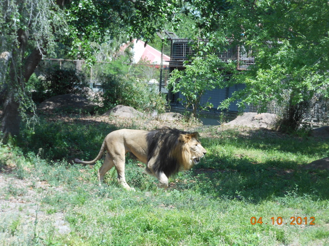 DSCN0696.JPG