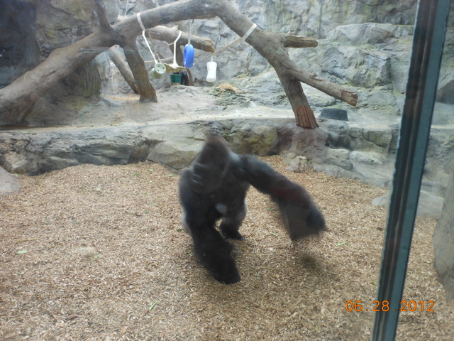 DSCN1507.JPG