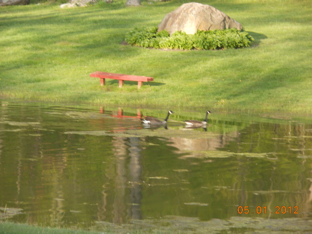 DSCN1164.JPG