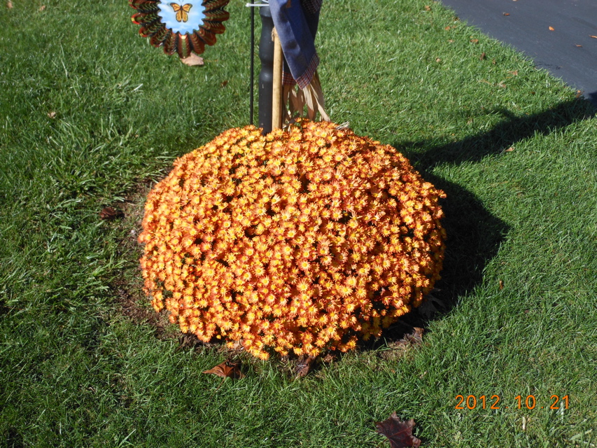 DSCN2173.JPG