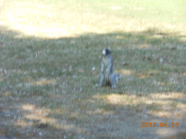 DSCN3116.JPG